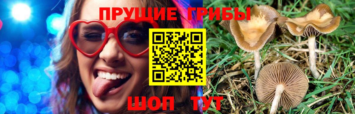 Галлюциногенные грибы Psilocybine cubensis  Вход с VPN  Саранск 