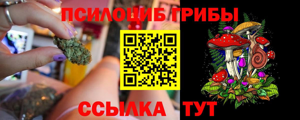 Галлюциногенные грибы мухоморы Саранск