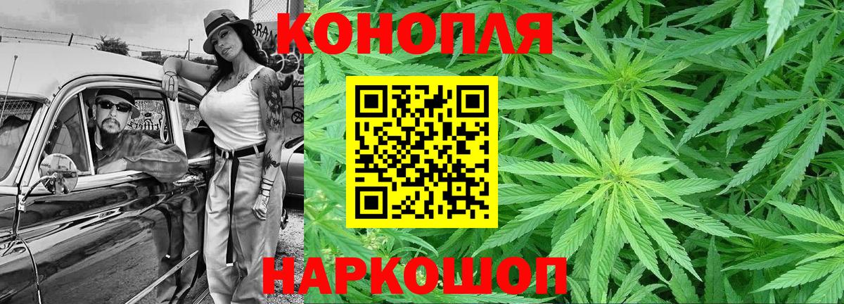 Канабис планчик  Вход с VPN  Бошки Шишки марихуана  Саранск  Бошки Шишки SATIVA & INDICA 